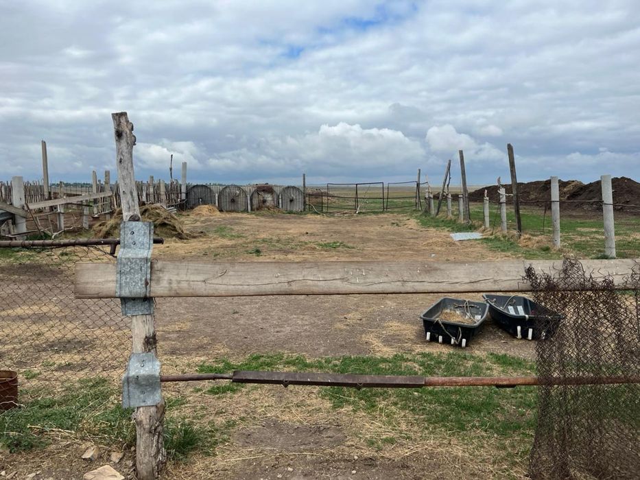 Продам частный дом можно под К/х