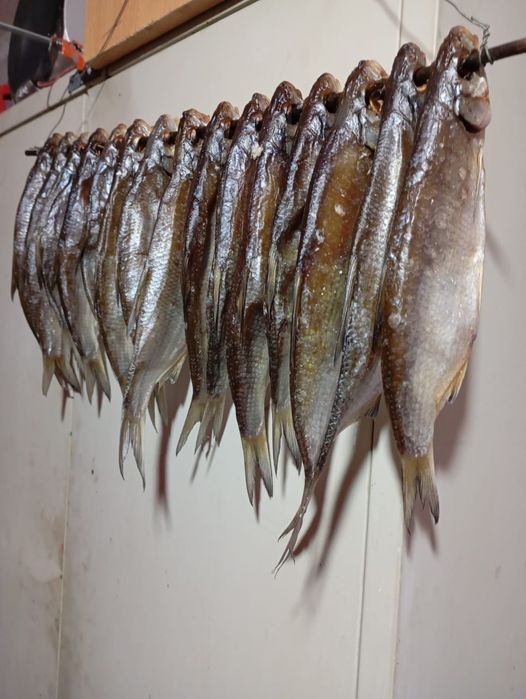 Продам копчёный рыба Ребец