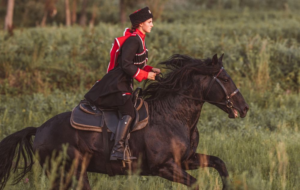 Продам жеребчика 2года