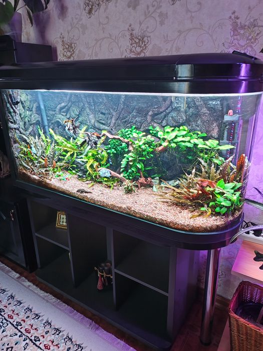 Продам Аквариум 350л.