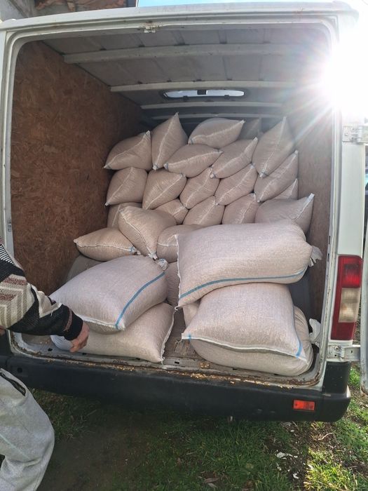 Porumb  Ambalat în saci de 40kg  Oferim transport gratuit la domiciliu