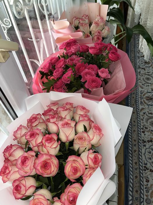 Розы цветы / гүлдер свежые