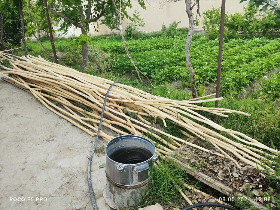 Тераклар сотилади