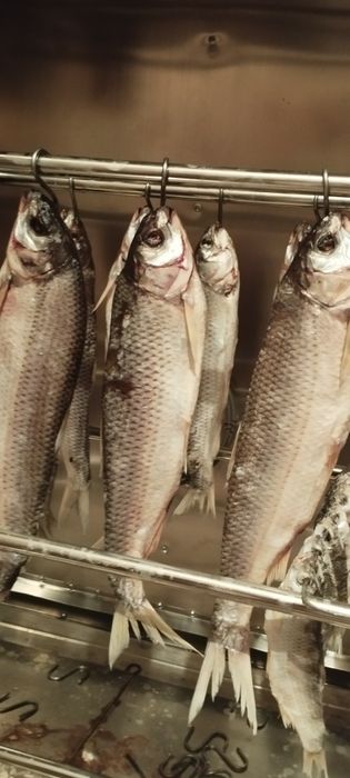 Рыба вяленая Кутум