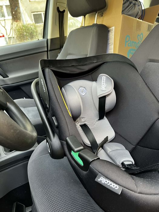 Scoica auto coccolle