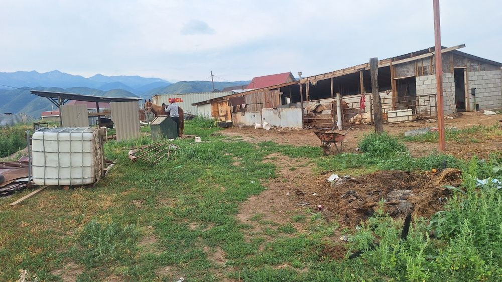 Продам КХ -20сот в месте скотом