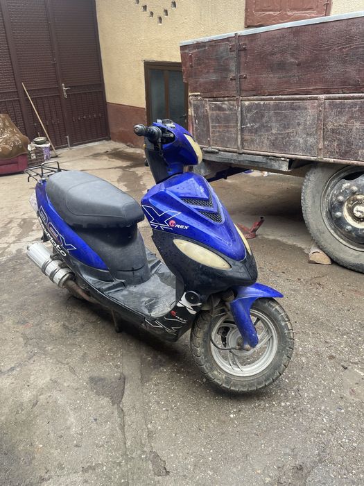 scuter rex moto