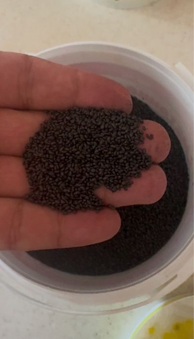 Семена люцерна. Жонышка урык. Жоңыршқа ұрық. Беде