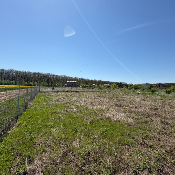 Teren 500 mp Ghermănești - com.Snagov- la padure-  direct proprietar-30 min București