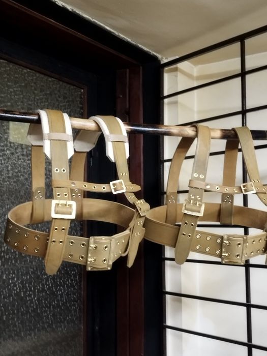 Чанове/ кукерски колани