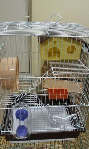 Клетка за хамстер