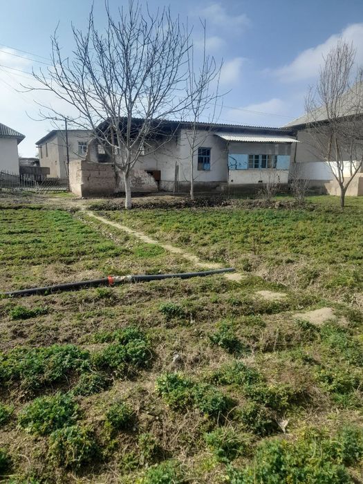 10 sotix hovli uylari bilan