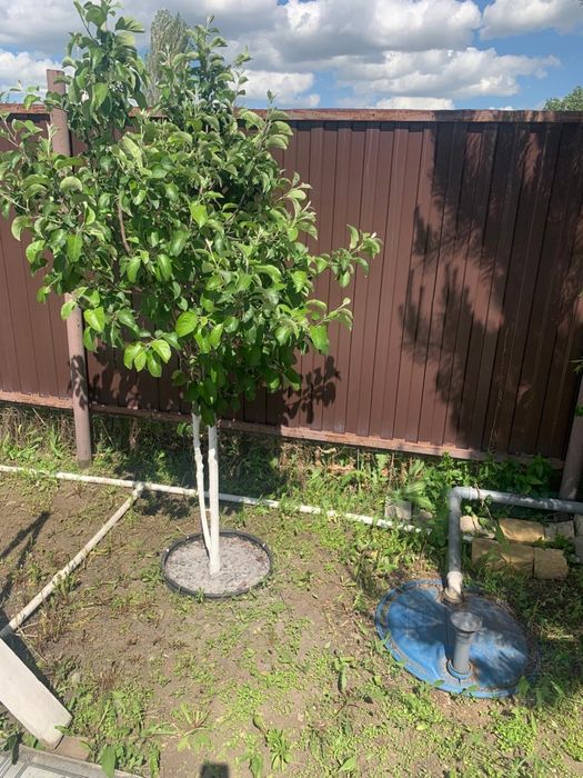 Продам дачу в Акжар 1