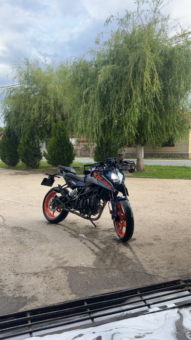ktm duke  2024 luna 10