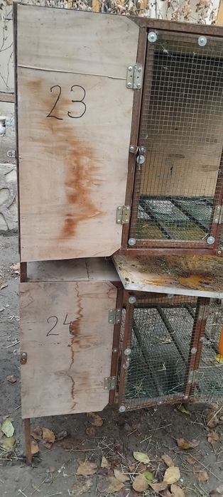 Quyon boyish uchun katak