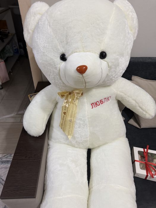 Цветы цена догворная