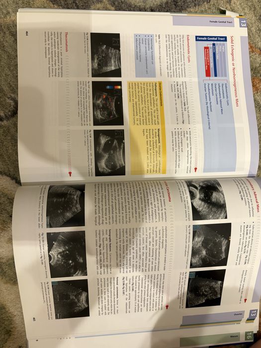 Differential Diagnosis in Ultrasound Imaging (carte ultrasonografie)