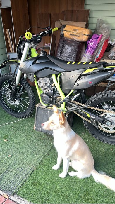 Продам эндуро Zuumav K5 CB300