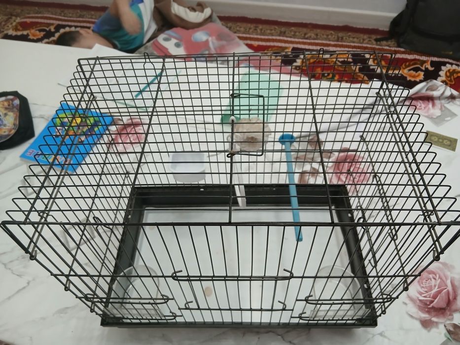 Сетка для птицы попугай