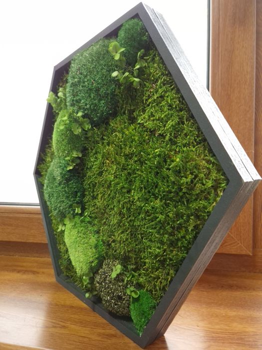 Tablou hexagonal din muschi si licheni 45.5 cm