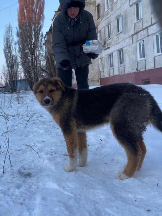 Дружные, весёлые, неразлучные.