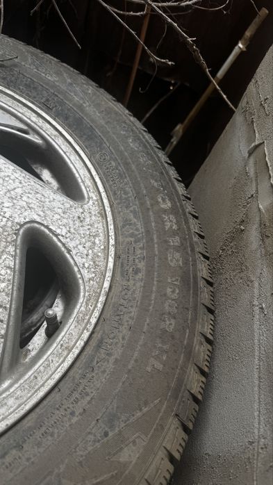 nordman шины продам