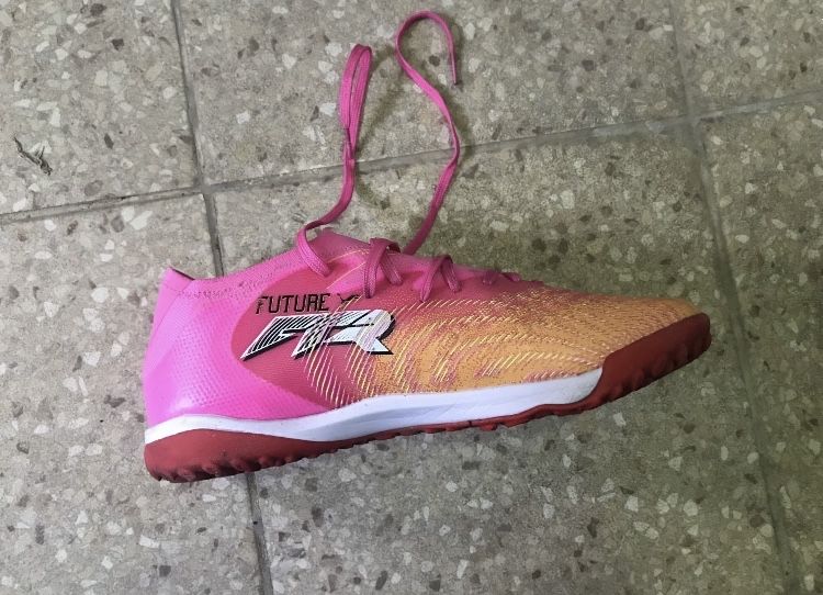 Сороконожки Пума