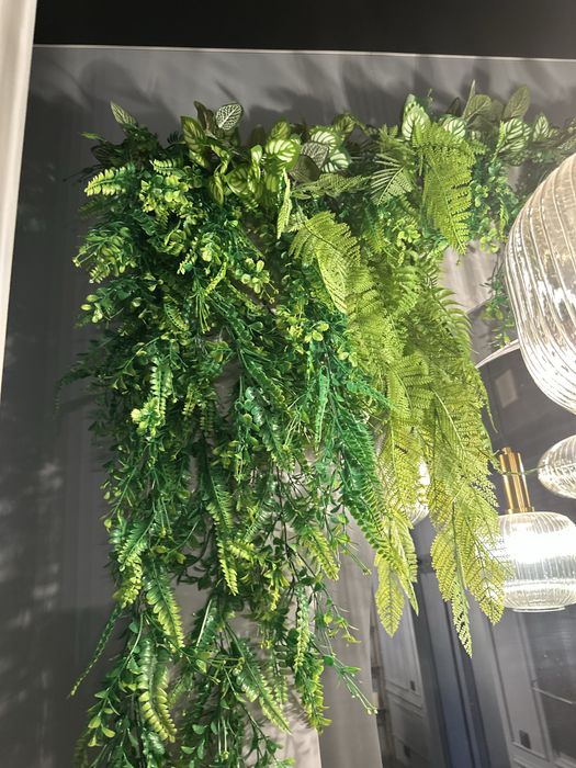 Продам декоративную зелень