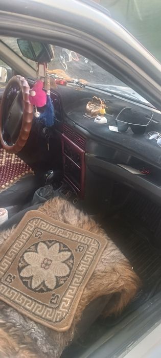 Nexia 1 xolati bombacha