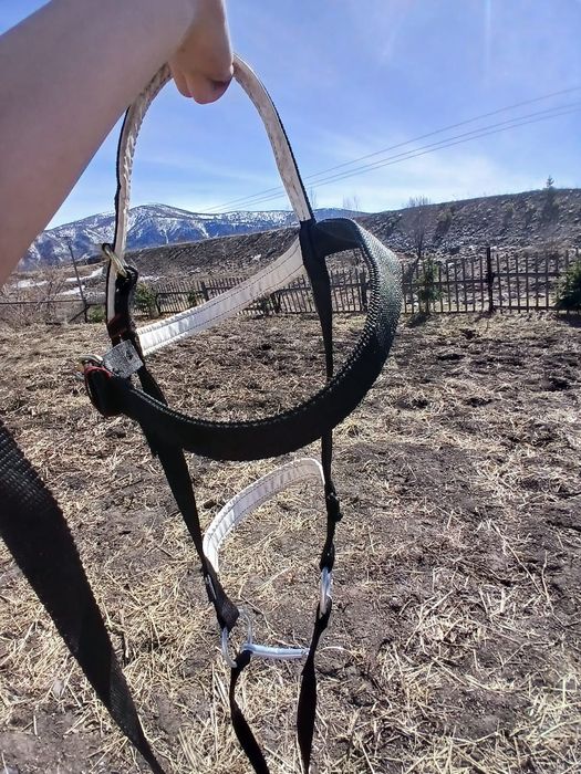 Уздечка для лошадей