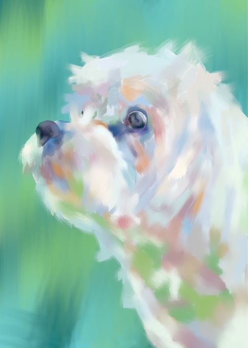 Дигитални илюстрации и карикатури