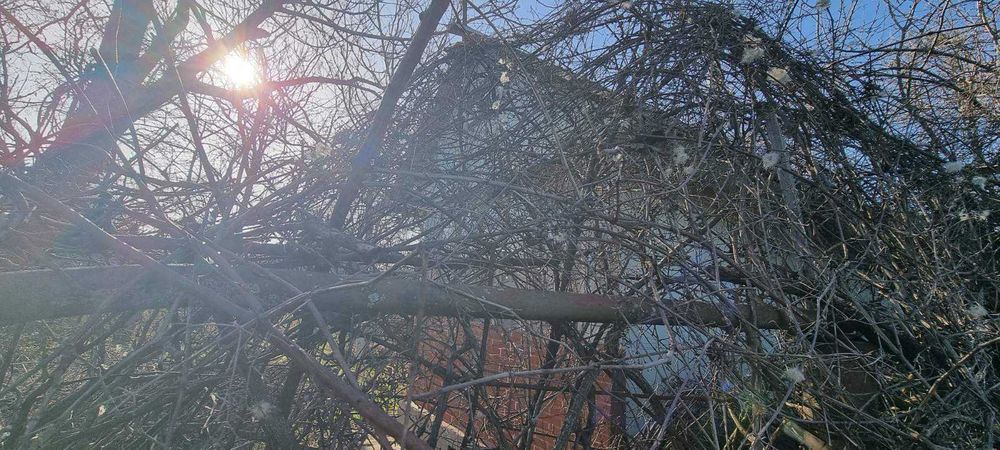 575-Продава се парцел в местността "Дянковски Път 2"!