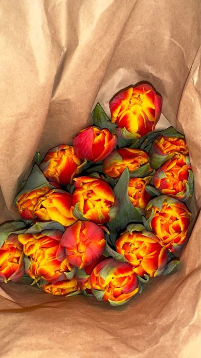 Тюльпаны по 750 тг доставка имеется