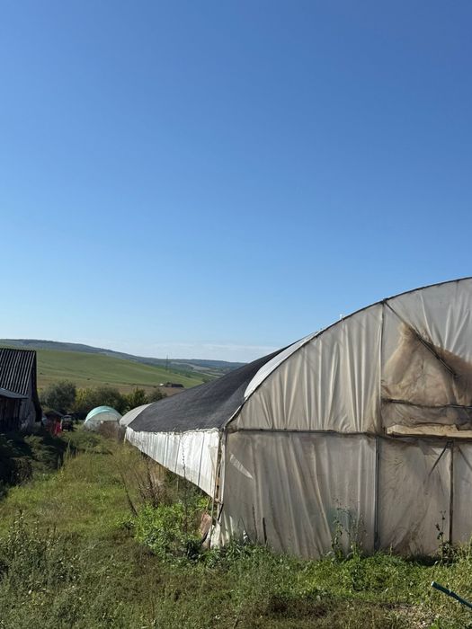 Casa de vanzare cu 3 solarii