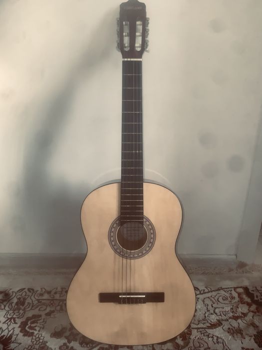 Гитара Акутическая модель Амадеус серия MC-101