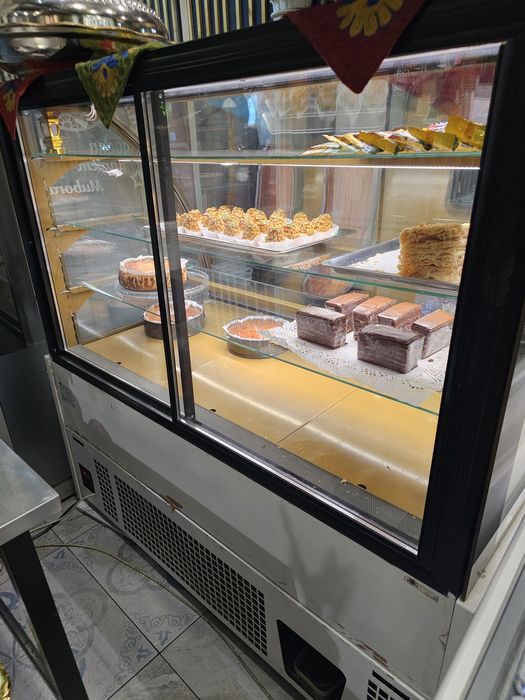 Xoladelnik ukrainiski vitrina 220v zavod