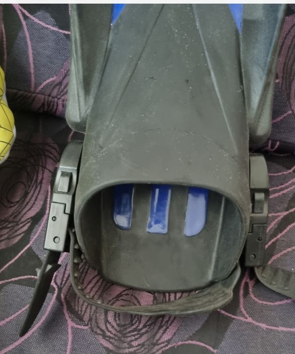 Плавници pegaso.