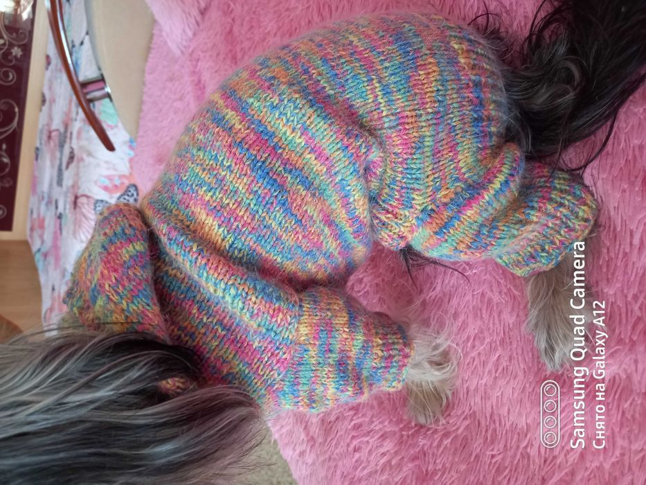 Одежда для собак