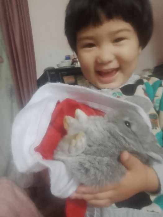 Декоративная кролик