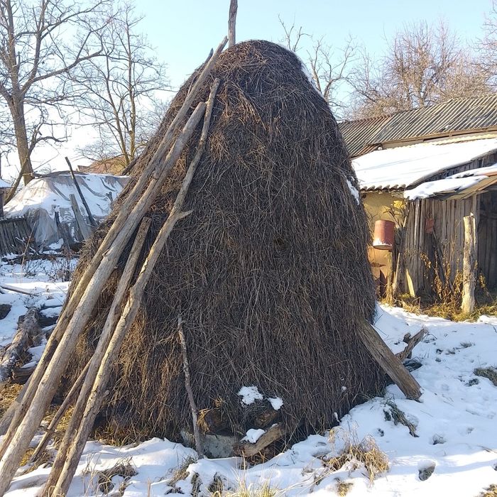 Vând Baloți Lucernă Mici și Mari și 2 Stoguri de Lucernă