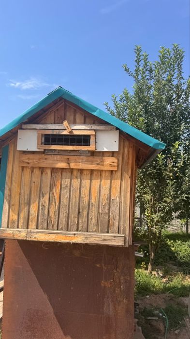 Продам бутку для гооубей или собак