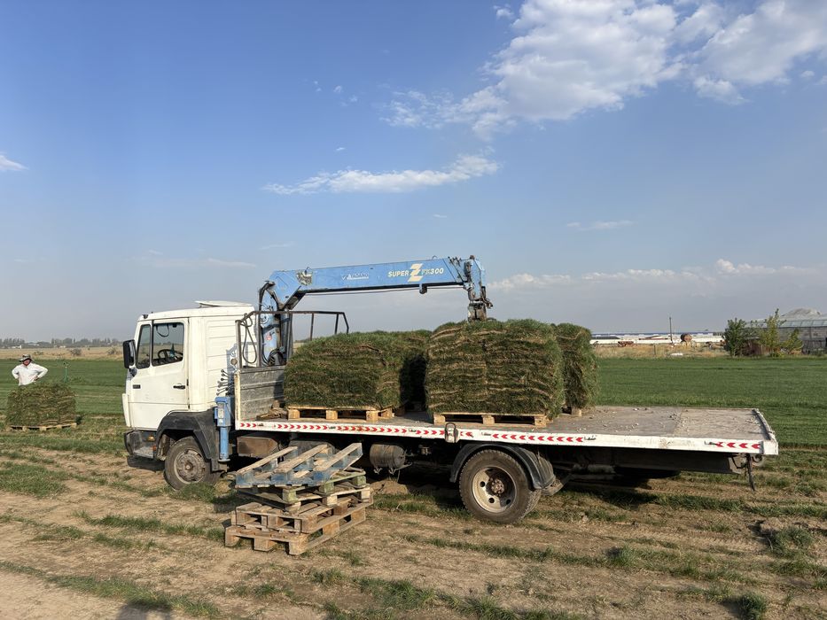 Манипулятор  услуги