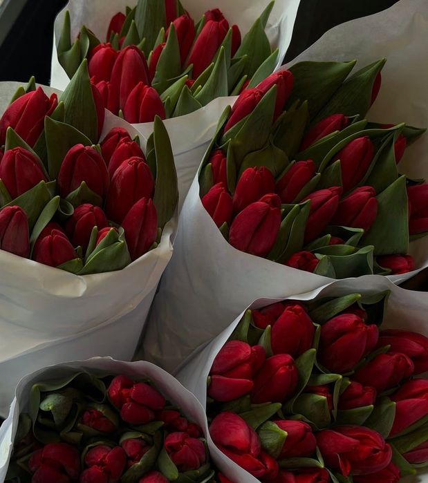 Тюльпаны к 8 марта