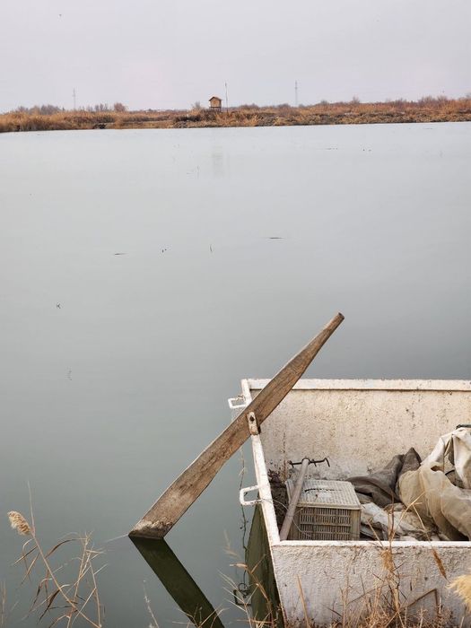 Баликхона сотилади