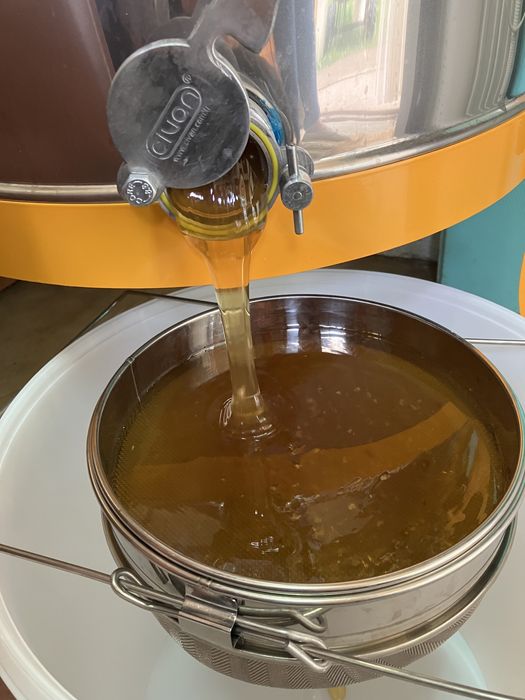 Miere de albine si polen proaspat de primavara din stupina proprie