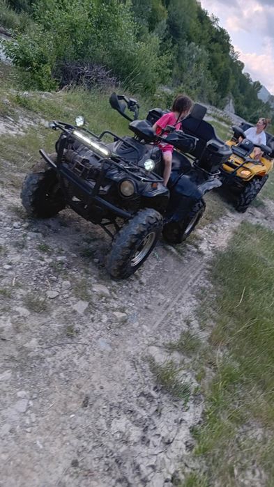 Vand linhai 300 worker 4x4 2009