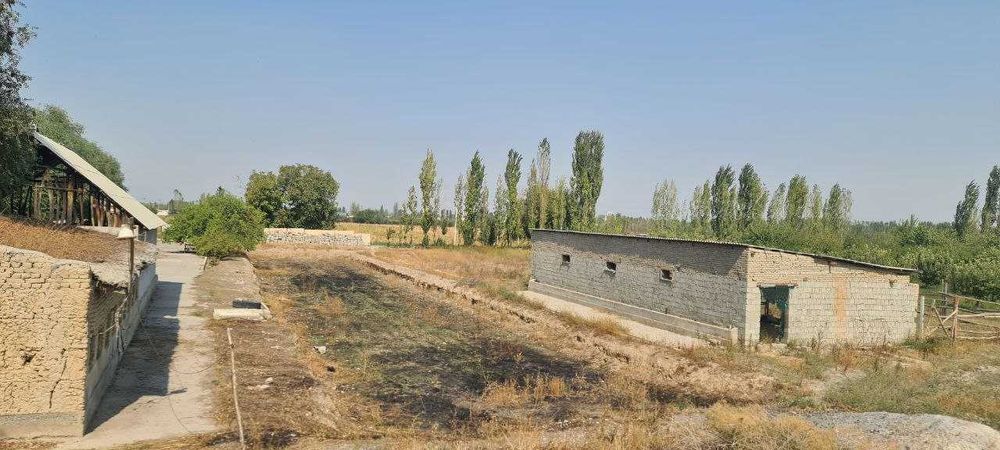 4 gektarli Bog' 20 Sotix Noturar joyi bor (  даромадли бог)