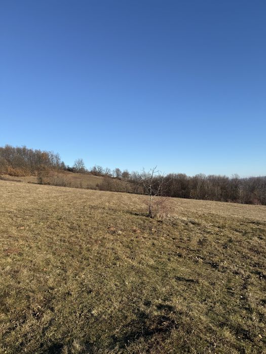 Teren de vanzare 10 000 mp