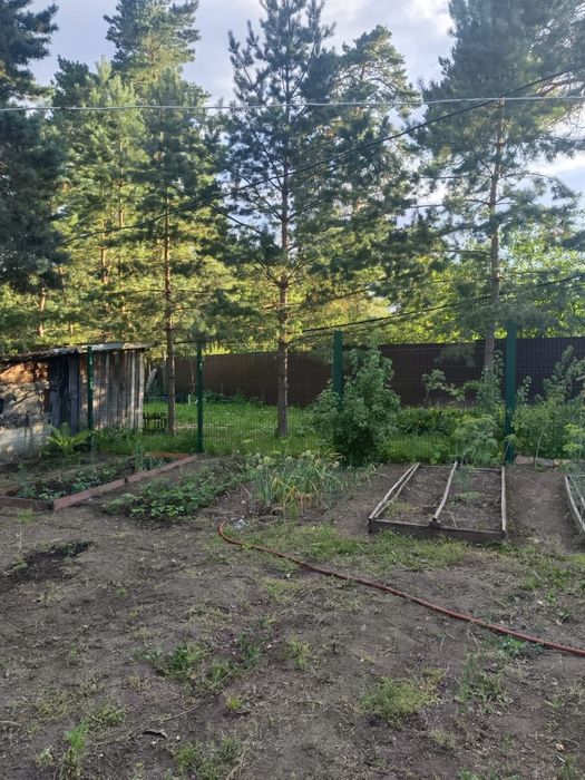 Продается дом в Аккольском лесхозе