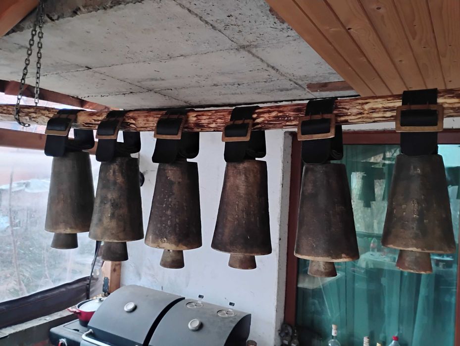 Чанове от 16 до 21